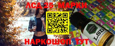 дмт Аргун