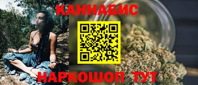 дмт Аргун