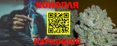 дмт Аргун