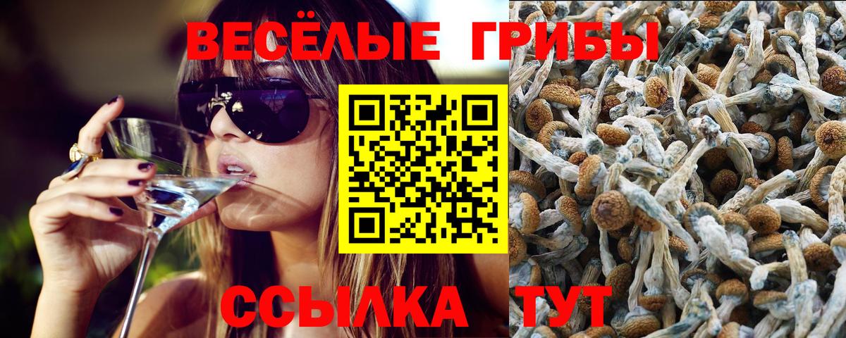 Псилоцибиновые грибы GOLDEN TEACHER Братск