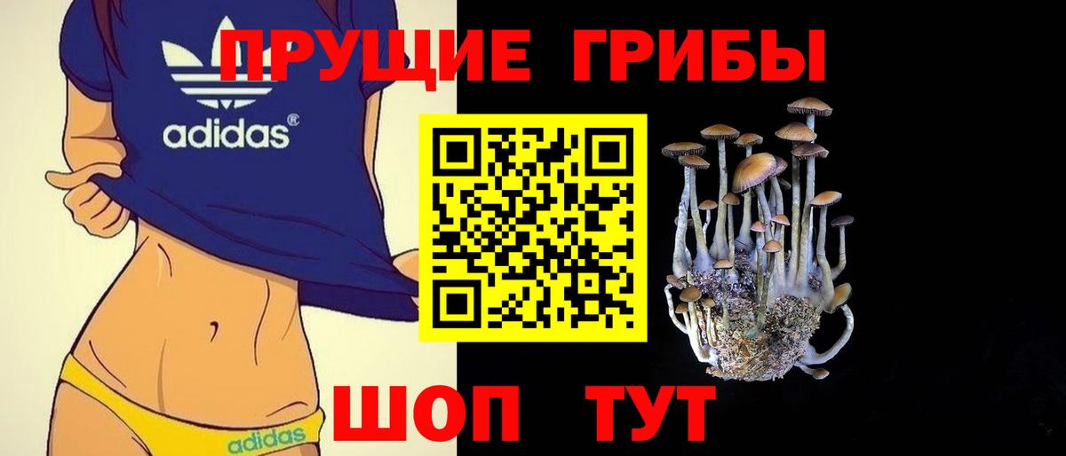 Братск  Галлюциногенные грибы Psilocybine cubensis  Псилоцибиновые грибы GOLDEN TEACHER  Вход с VPN 