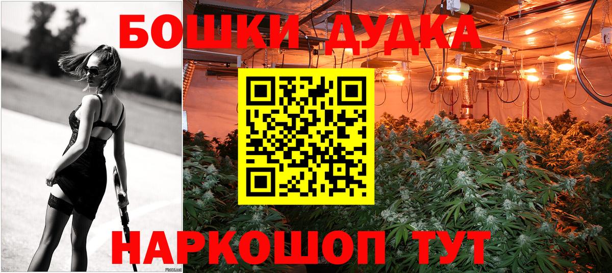 Каннабис план  Шишки марихуана OG Kush  Братск  Вход с VPN  МАРИХУАНА гибрид 